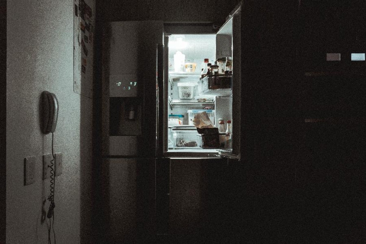 Nijemci ne mogu da zamisli život bez - frižidera