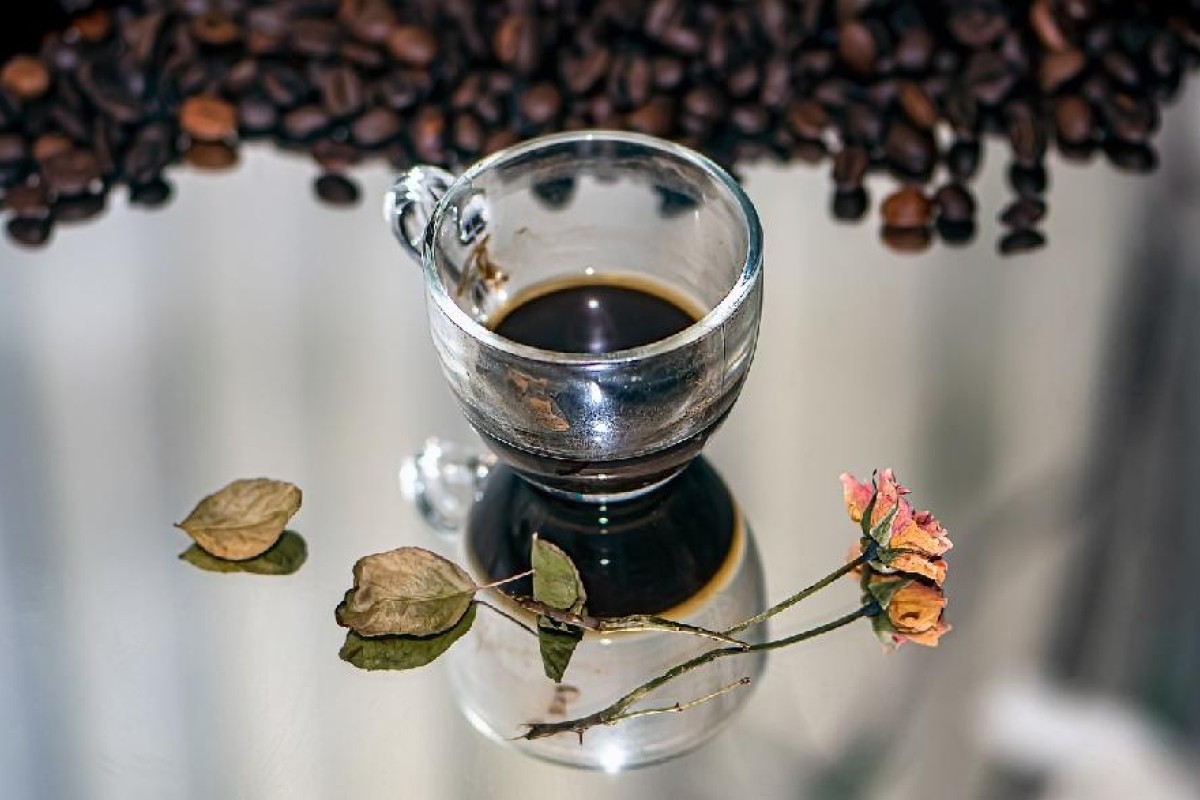 Talog od kafe mogao bi pomoći u liječenju Alchajmera