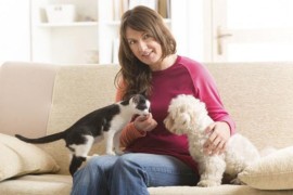 Da li su ljubitelji mačaka karakterističniji od ljubitelja pasa?