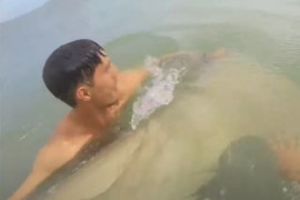 Ribar dovukao zvijer iz dubina u plićak (VIDEO)