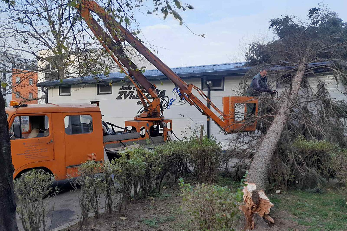 Nadležne službe uklanjaju porušena stabla u Banjaluci