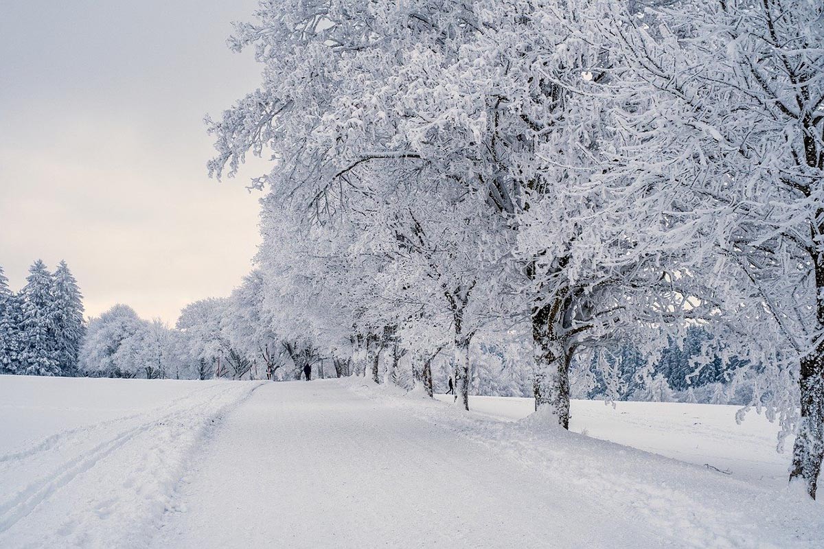 Snijeg zabijelio sjever Slovenije