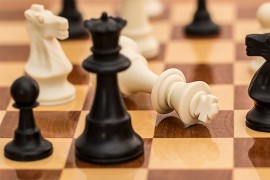 Vic dana: Punica i šah
