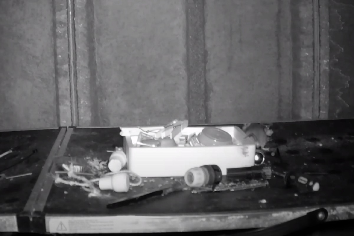 "Uredni miš" noću čisti šupu jednog čovjeka (VIDEO)