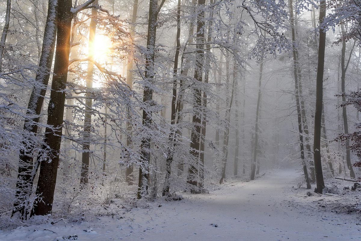 U četvrtak sunčano uz blagi porast temperature