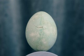Nevjerovatno otkriće: Pronađeno jaje iz trećeg vijeka, u njemu još ...