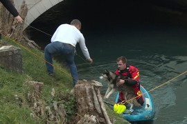 Pas se zaglavio u odvodnom kanalu, spasioci dobili aplauz