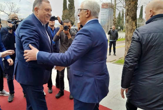 DPS zbog posjete Milorada Dodika traži smjenu Andrije Mandića