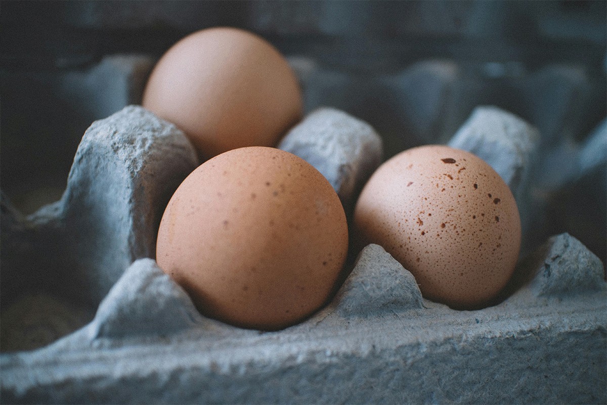 U ovoj zemlji paket od 30 jaja košta skoro kao mjesečna plata ljekara