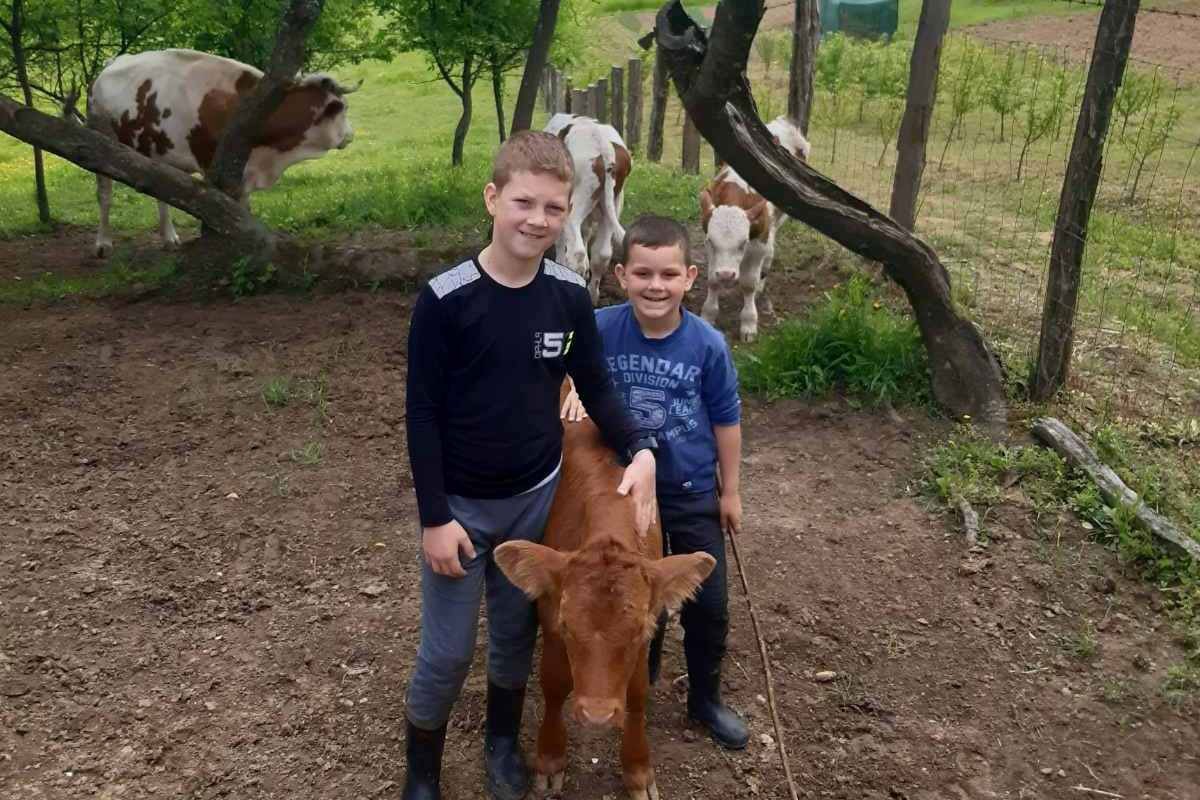 Njegoš Cvijić, mali glumac i poljoprivrednik: Ovo su moja porodica i životinje