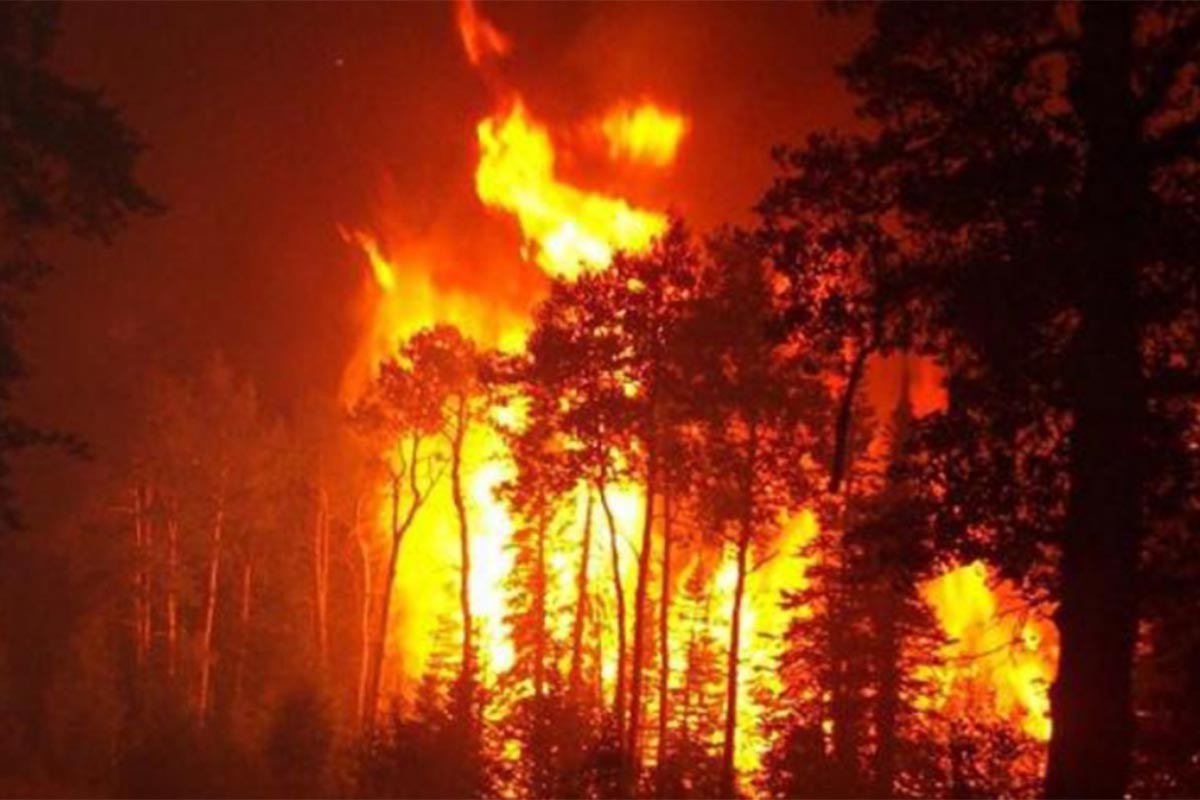 Šumski požari u Teksasu spržili više od 200.000 hektara zemlje