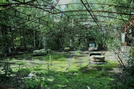 Crvi iz Černobila razvili supermoć