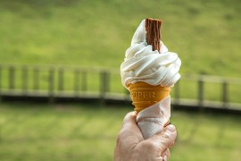 Prva tvornica sladoleda u BiH službeno se otvara u maju, radiće u tri ...