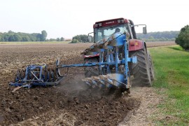 Očekuje se da bude zasijano više kukuruza i soje u Srpskoj