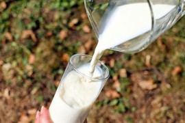 Izvoz mlijeka i mliječnih proizvoda lani iznosio 131 milion KM, uvoz ...