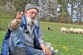 Upoznajte Nedu, najstarijeg ovčara u BiH (VIDEO)
