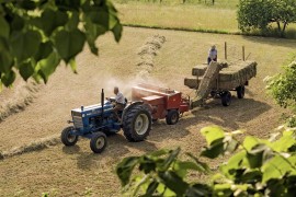U Srpskoj još nema zabrane za traktore bez kabina