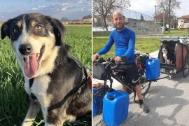 Francuz prošle godine izgubio psa u Grčkoj, sad ga našao kod granice ...