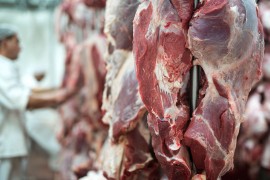 Bh. meso najčešće na policama u Turskoj i Crnoj Gori