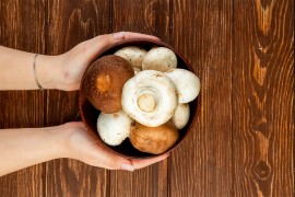 Posustaje izvoz gljiva iz BiH