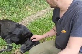 Dirljiva priča iz RS: Doživio jezivu povredu, pas ga spasio (VIDEO)