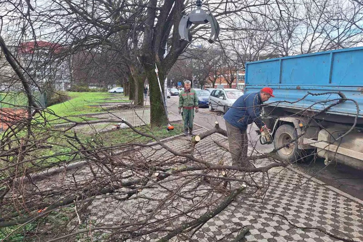 Banjaluka ima mjesto za odlaganje grana nakon olujnog vjetra