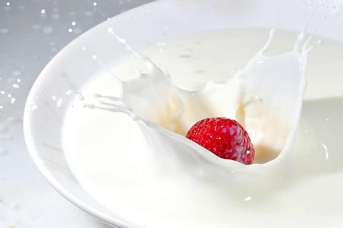 Zašto treba da jedemo grčki jogurt