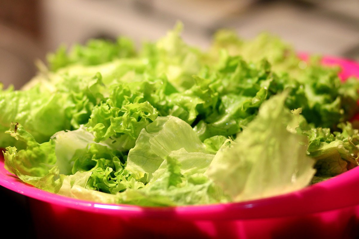 Kako da vam zelena salata ostane što duže svježa
