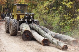 Rast proizvodnje i prodaje šumskih sortimenata u Srpskoj