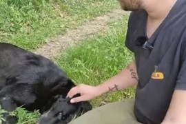 Pas spasio život mladiću: Priča iz Prnjavora pokazuje da je pas najbolji prijatelj čovjeku
