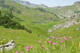 Treskavica - planina sa "gorskim očima"