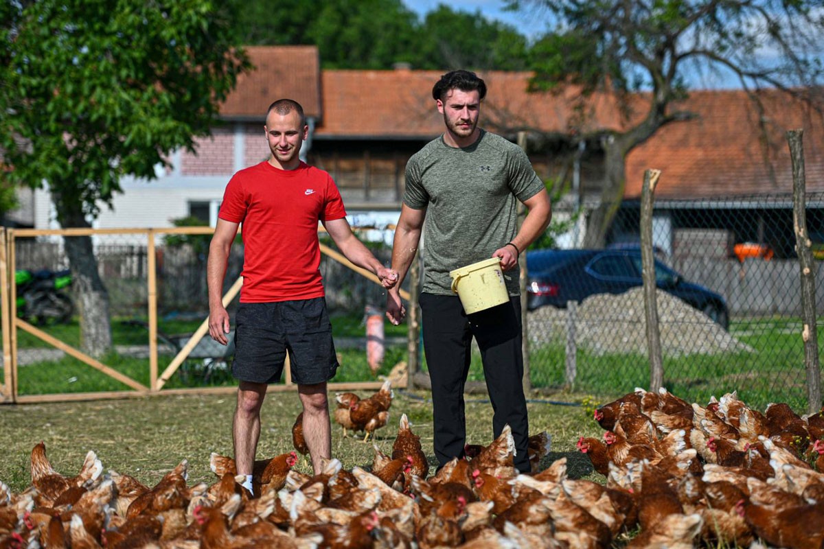 "Farma 5 jaja" senzacija na društvenim mrežama, pogledajte zašto (VIDEO)