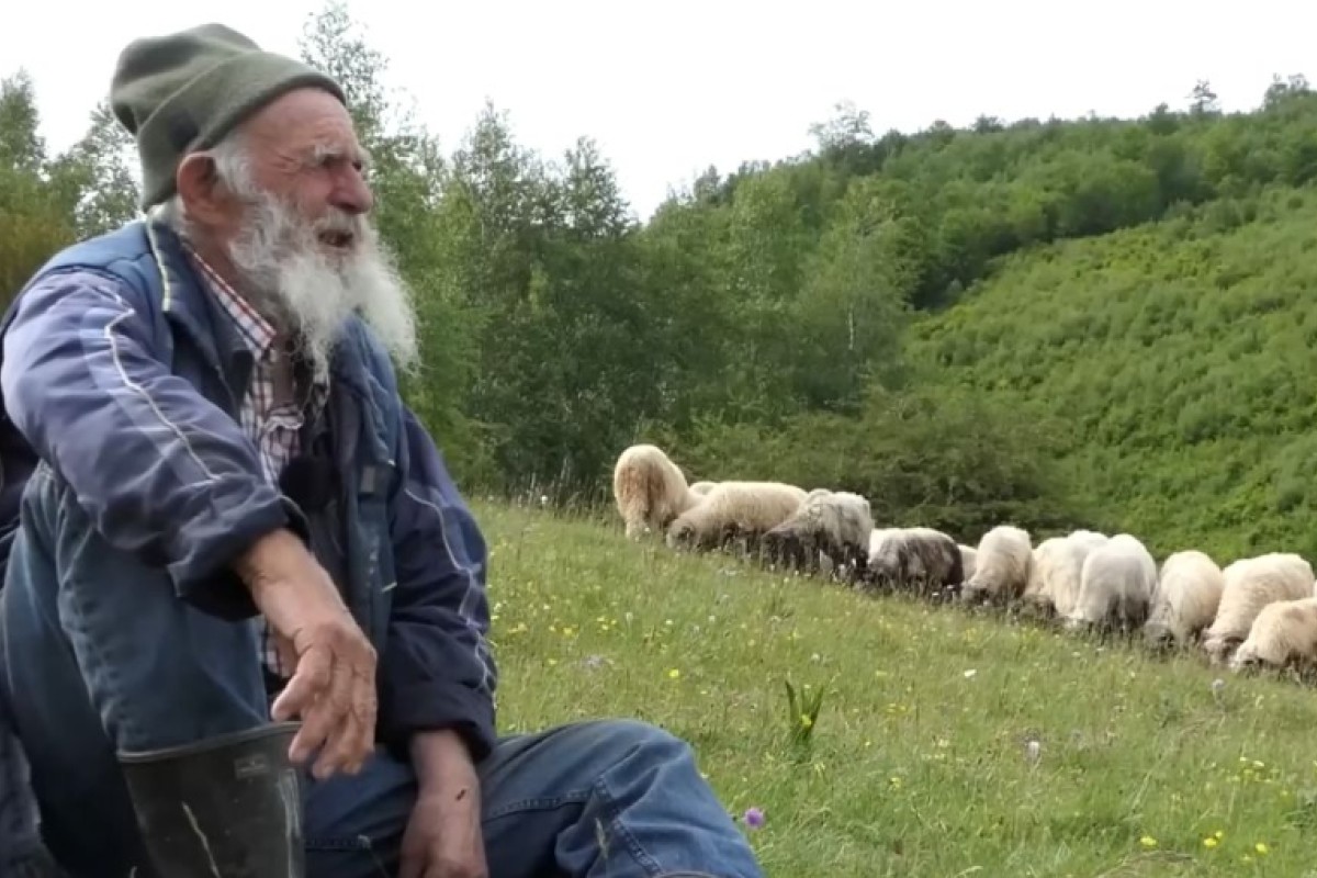 Najstariji ovčar u BiH ne planira odustati: Danas je hajvan pametniji od insana