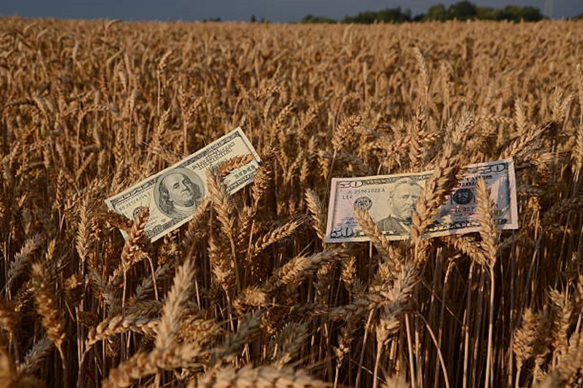 Astronomska šteta u agrarnom sektoru Ukrajine