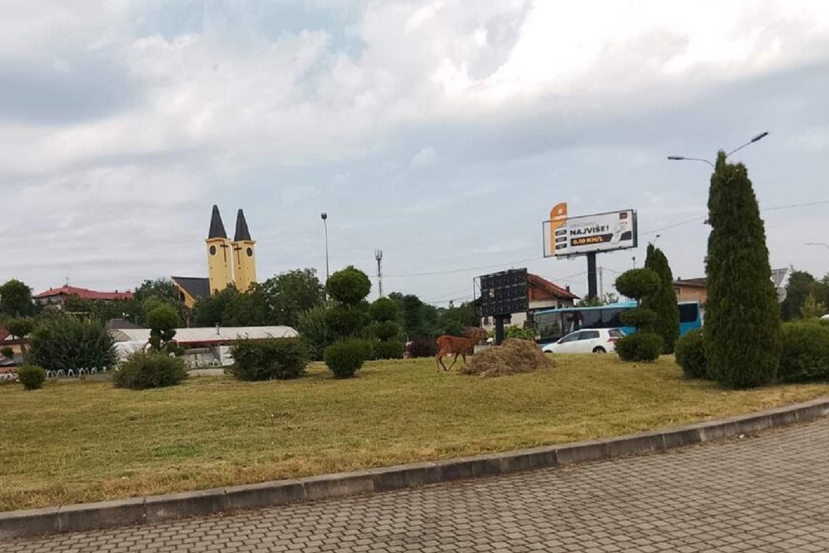 Lane usred kružnog toka u Banjaluci (FOTO)