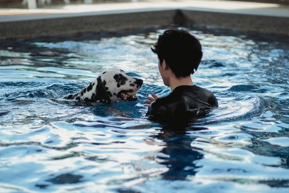 Šta treba da znate ako želite da pustite psa da se brčka u bazenu