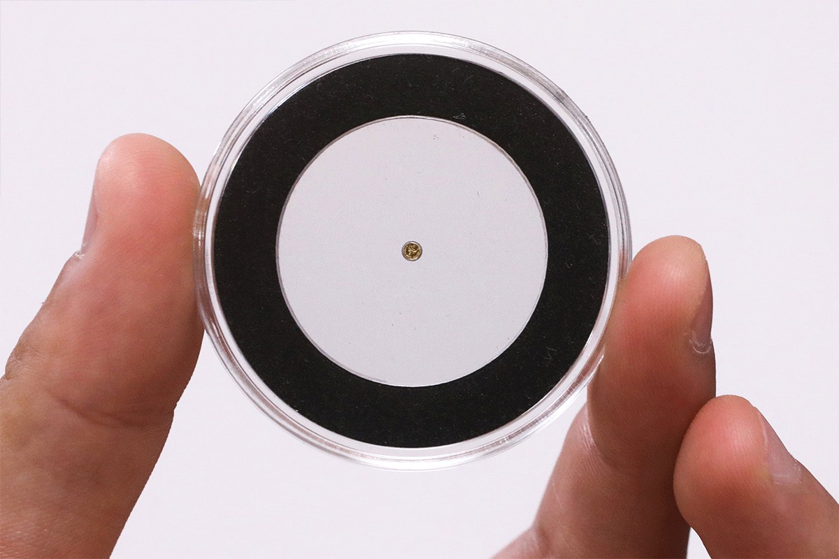 Komšije oborile rekord: Izradili najmanju kovanicu na svijetu (FOTO)