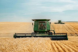 "Žitopromet" iz Bijeljine ponudio ratarima: Otkupna cijena pšenice od 0,35 KM