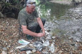 Nezapamćen pomor ribe u rijeci Blihi