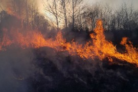 Požar u brdima iznad Cetinja i Budve