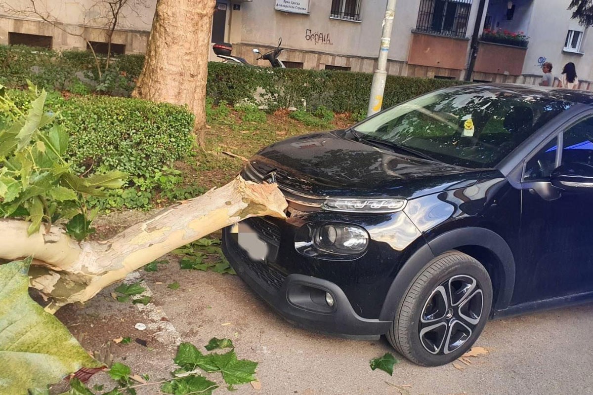 Ogranak zdravog stabla pao i oštetio automobil u Banjaluci