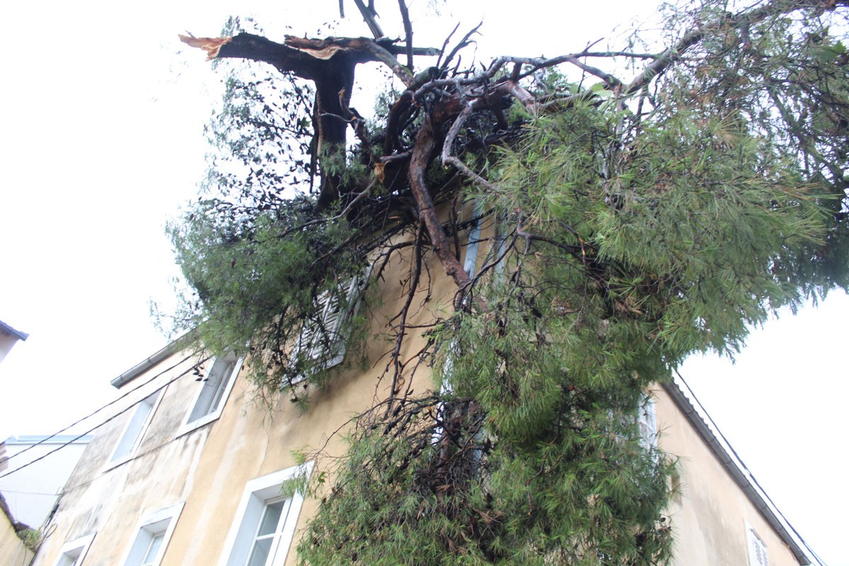 Polomljeni bor uništio krov kuće Erkočevića (FOTO)