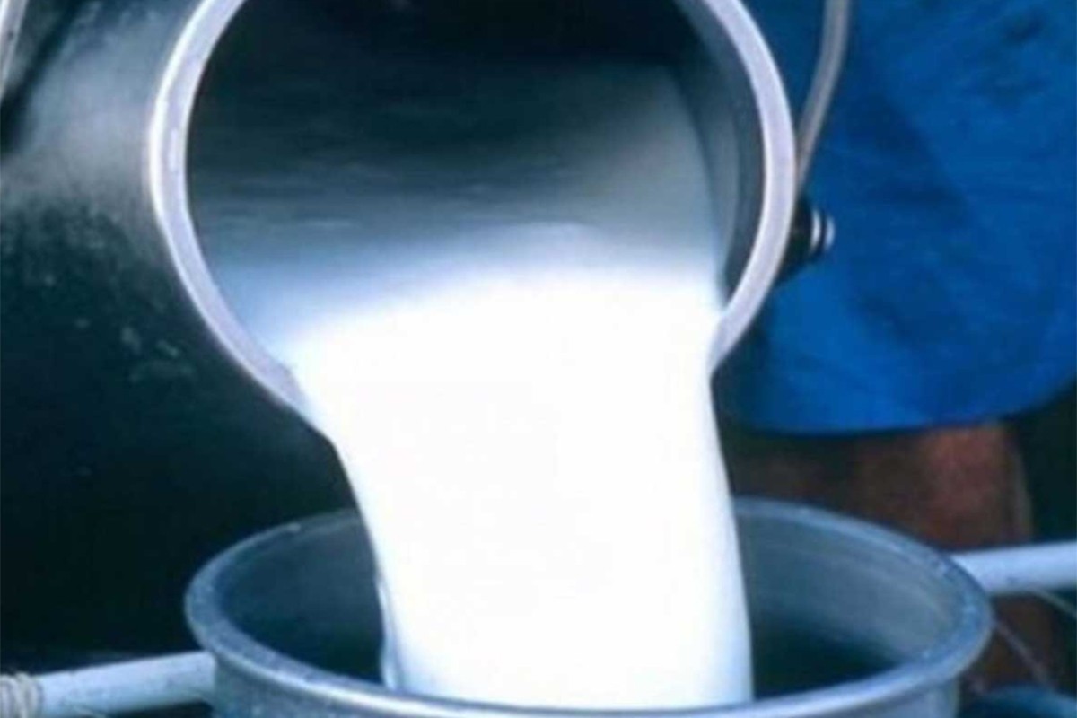 Hiljade bh. farmera proizvode mlijeko, 20 mljekara godišnje zgrne pola milijarde maraka