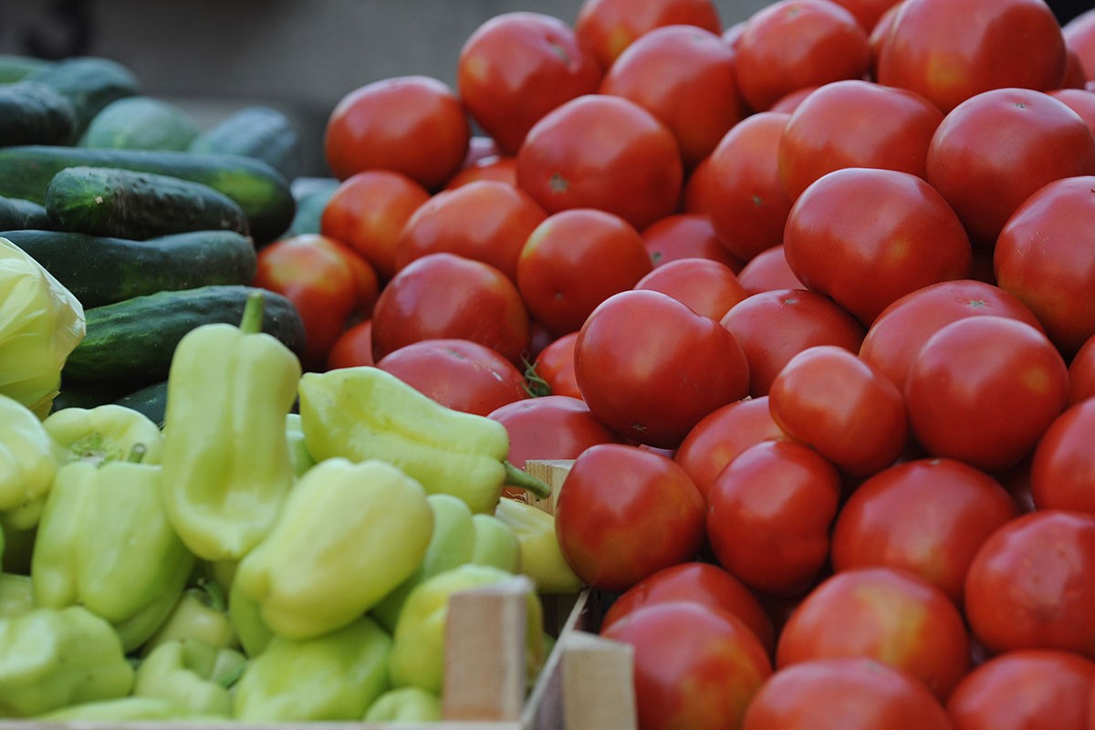 Zašto su krastavci gorki, paprika zakržljala, a paradajz ne sazrijeva