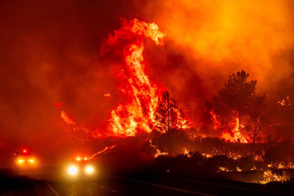 Gurnuo zapaljen auto u jarugu i izazvao jedan od najvećih požara (FOTO/VIDEO)