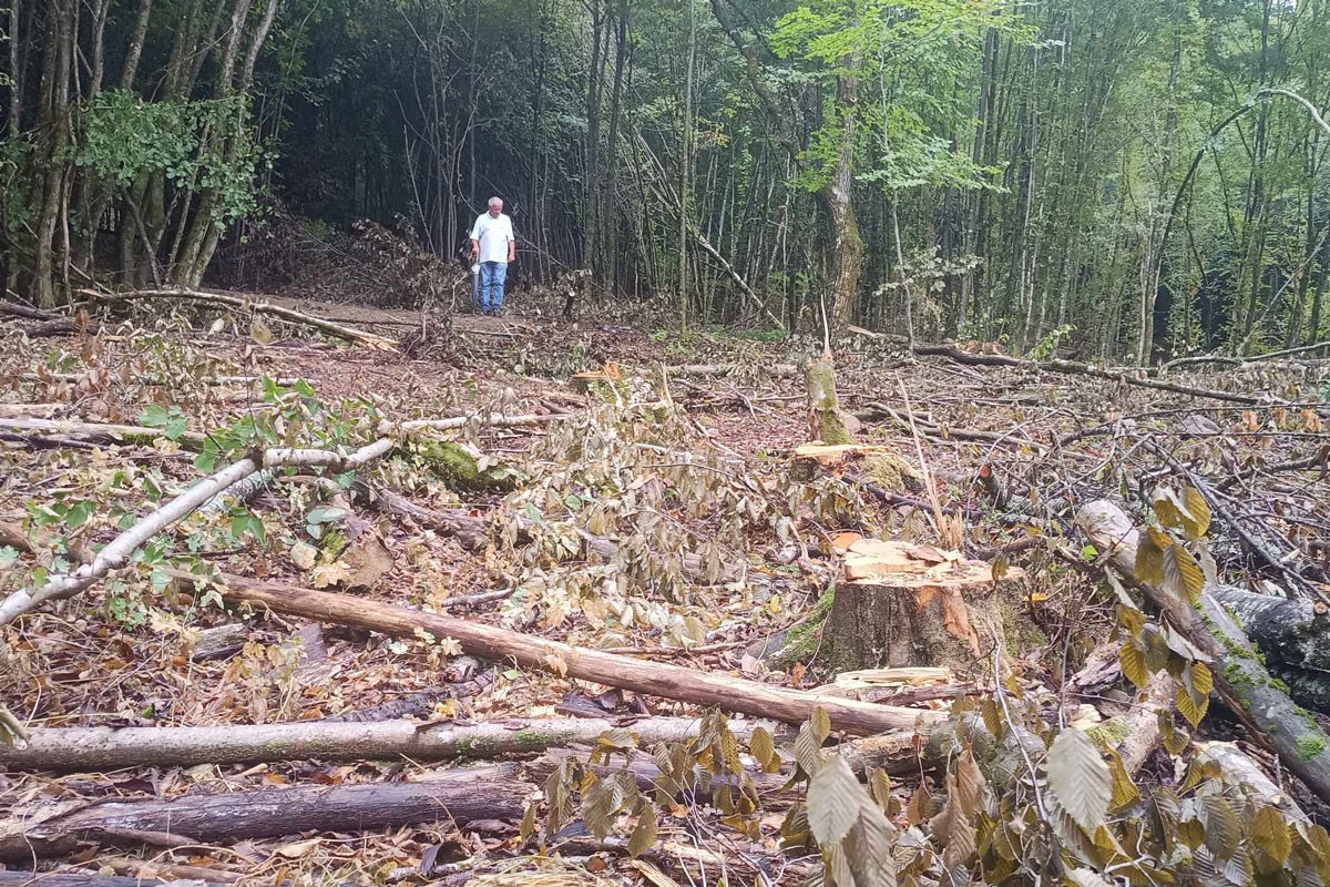 Šumokradice pustoše šume, mještani ih zatekli na djelu (FOTO)