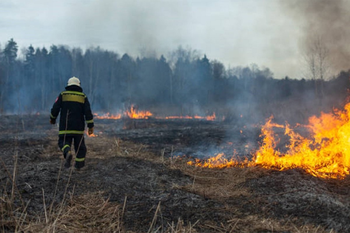 Lokalizovan požar na ostrvu Vir