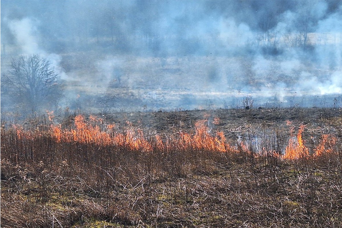 Gori više od 150 hektara niskog rastinja, njiva i poljoprivrednih kultura