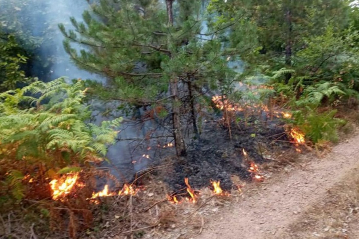 Požari na Konjuhu pod kontrolom