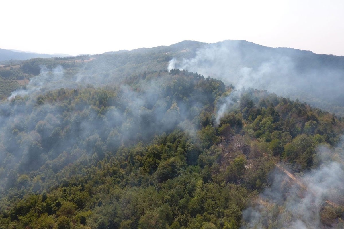 Vatrena stihija ne ugrožava ljude niti kuće